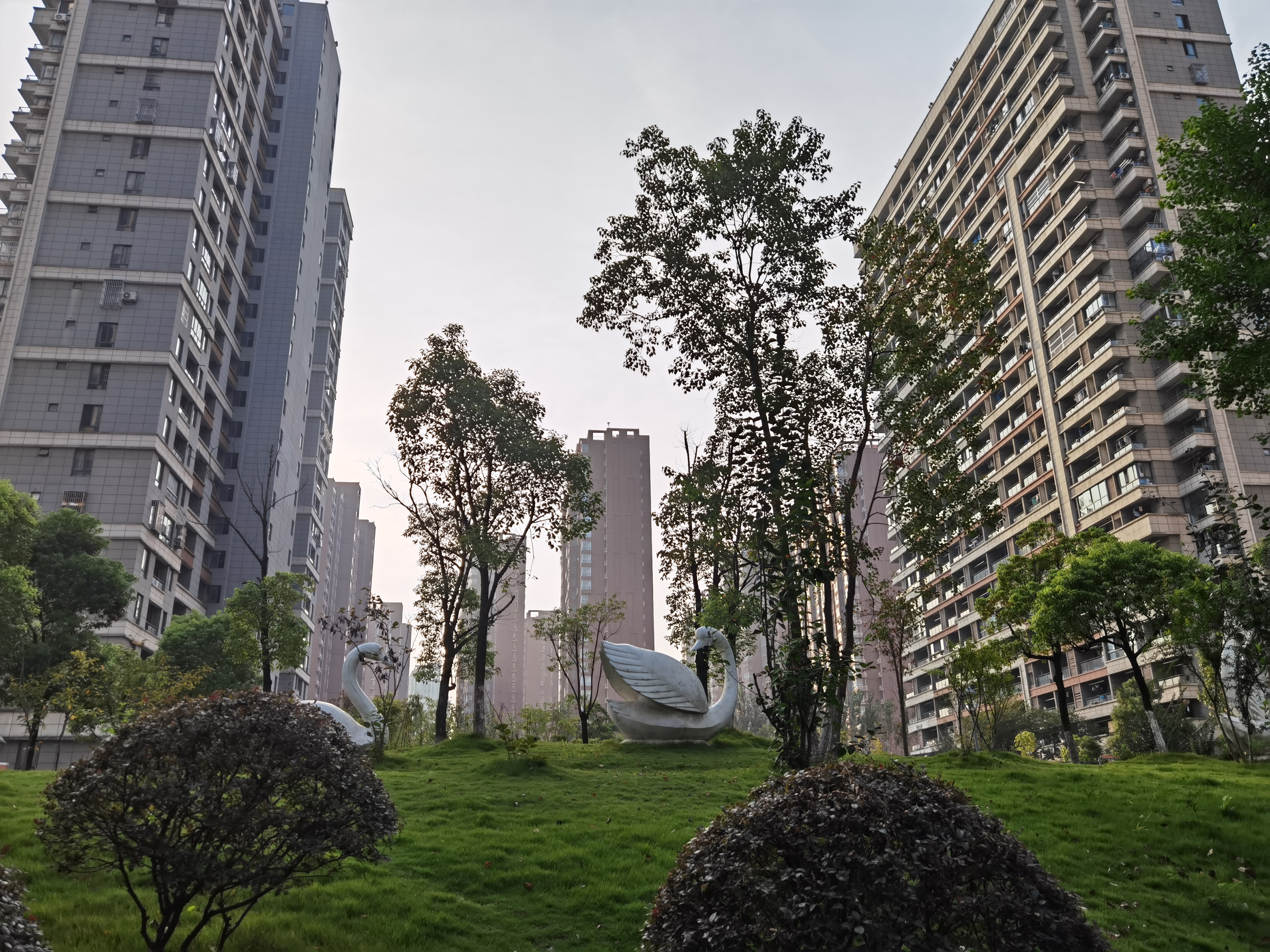 鸿运国际