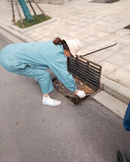 鸿运国际