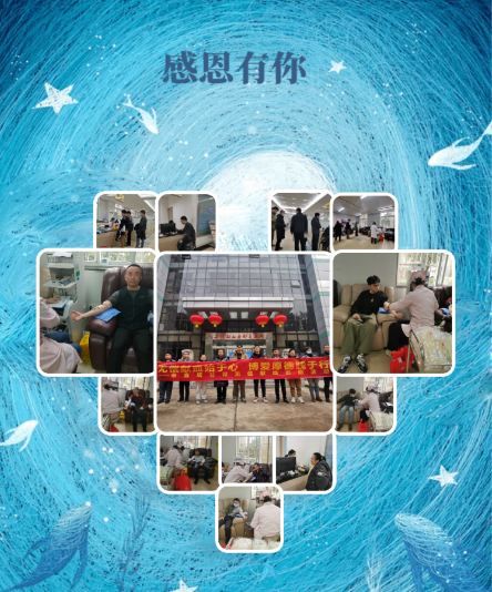 鸿运国际