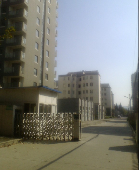 鸿运国际