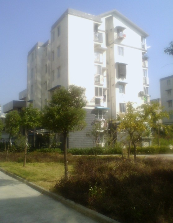 鸿运国际