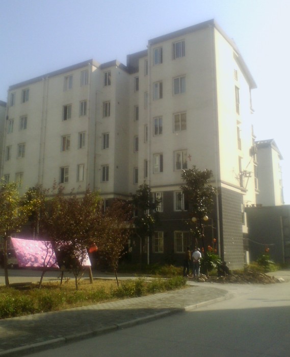 鸿运国际
