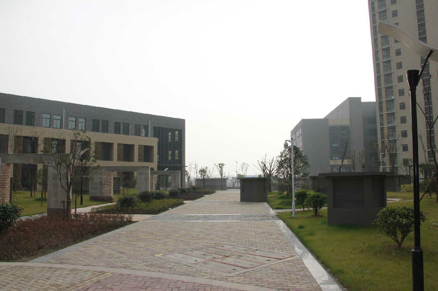 鸿运国际