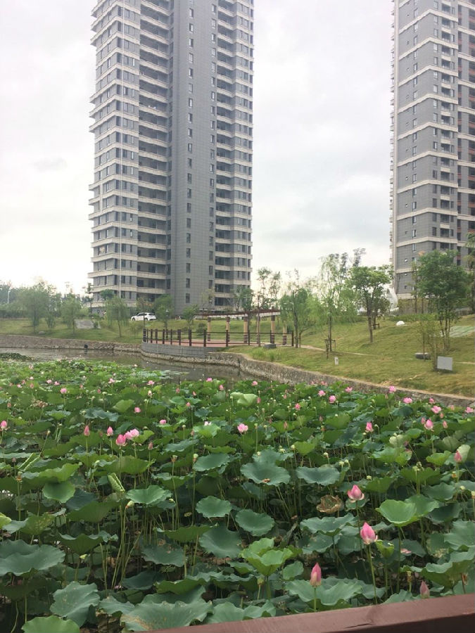 鸿运国际