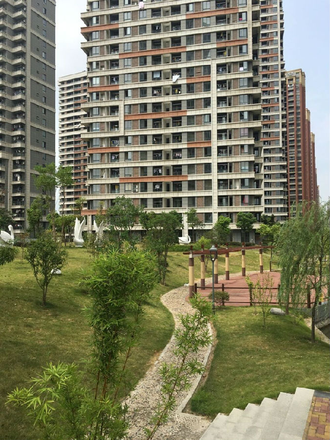鸿运国际