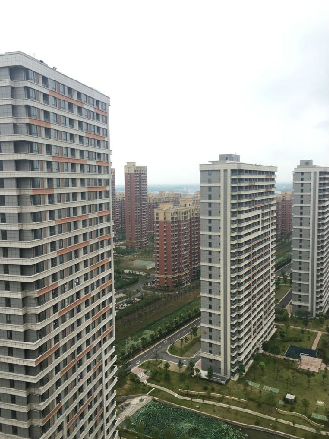 鸿运国际